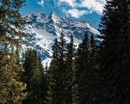 [2026-05-15] Rauris_260522_1622180319_hh_voll