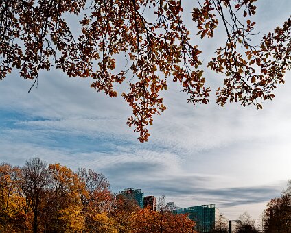20251113-DSCF1148_hh_voll