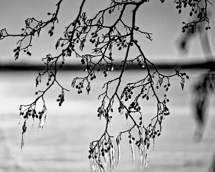 [2026-01-11] Eis auf dem Müggelsee_260111_1146170007_hh_voll-1