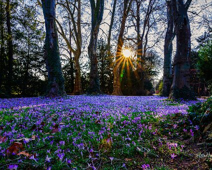 [2022-03-10] Potsdam Park Sanssoucis_19-32-04_00001