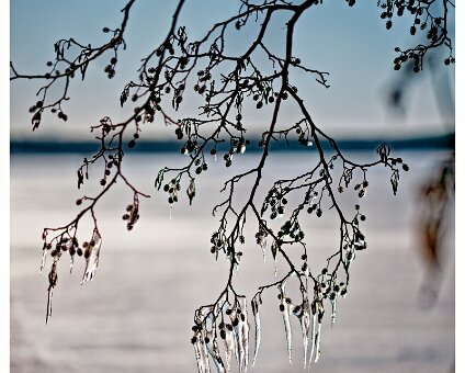 [2026-01-11] Eis auf dem Müggelsee_260111_1146170007_hh_voll_1