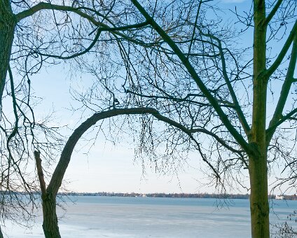[2026-03-02] Das Eis taut am Müggelsee_260302_1628120015_hh_voll