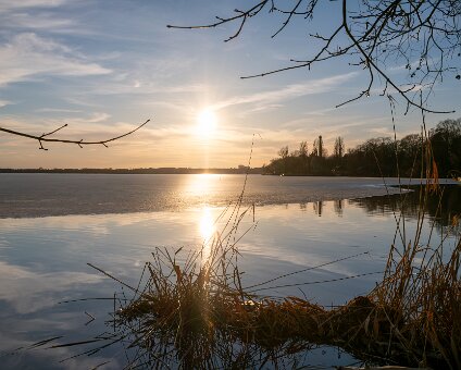 [2026-03-02] Das Eis taut am Müggelsee_260302_1702190046_full