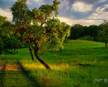 [2020-05-31] Bukow Märkische Schweiz [2020-05-31] Bukow Märkische Schweiz am 31.05.2020 20:30:44 Buckow (Märkische Schweiz), Schule Buckow (Märkische Schweiz) Deutschland