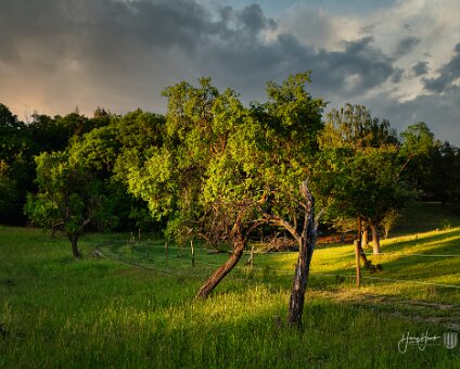 [2020-05-31] Bukow Märkische Schweiz [2020-05-31] Bukow Märkische Schweiz am 31.05.2020 20:32:41 Buckow (Märkische Schweiz), Schule Buckow (Märkische Schweiz) Deutschland