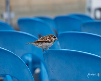 [2019-07-31] Dampfergfahrt Ost und West [2019-07-31] Dampfergfahrt Ost und West am 31.07.2019 18:21:40